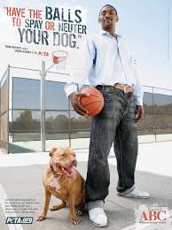 NBA Star Ron Artest's Spay and - via Daymix