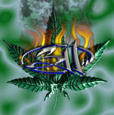 311 Picture 3