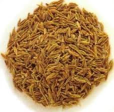 Cumin (Jeera)
