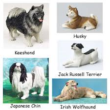 More Dog Breeds H to L x26gt