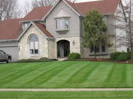 Growing Grass Sod with Lawn
