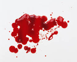   drops   of  blood  