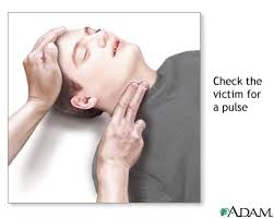   CPR   on An Adult