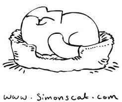 Simon's Cat