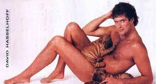 Image <b>...</b> a night with <b>David Hasselhoff</b>! Picture