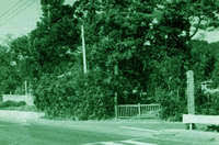 nango-004-1.jpg