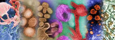 Viral Life from Outer Space? - via Daymix