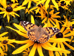 Image <b>...</b> gallery <b>from first</b> to <b>last</b> as <b>...</b> Picture