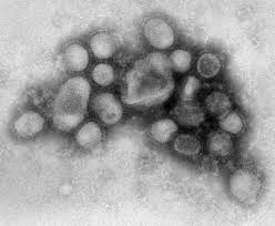 B00526 H1N1 flu med - via Daymix