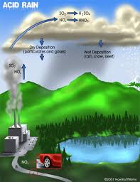   acid rain   illustration