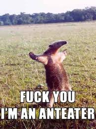 FUCK YOU IM AN ANTEATER