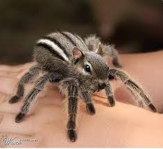Horrifying  cute   animals    