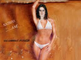 Katrina Kaif wallpapers
