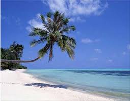 Sunny beach
