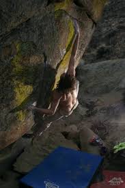 Image from Google