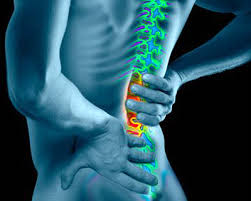 of  low back pain  on