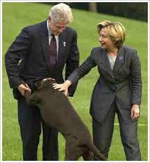 Image Tags: Asshole, <b>bill clinton</b>, <b>...</b> Picture