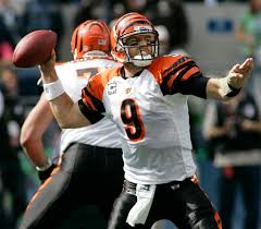 Carson Palmer Picture 3