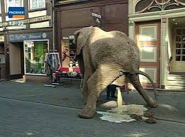 File:Pissing elephant.jpg