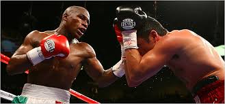 brings professional boxing - via Daymix