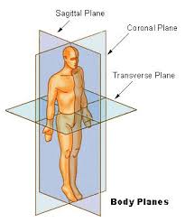 on the body's axis. - via Daymix