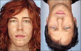   Shaun White   and Tony Hawk