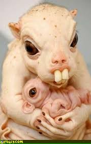 Hairless Rat Sculpture