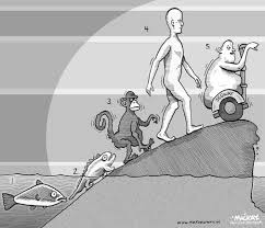 Believe in  Evolution  