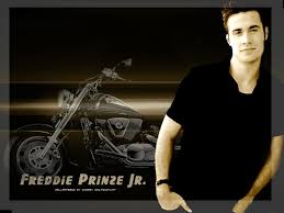 Image <b>Freddie Prinze Jr</b> Wallpapers <b>...</b> Picture