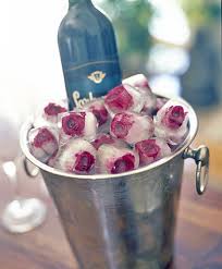 Ice Cube Image rose <b>ice< b> <b>cube< b> 1.jpg Picture 6