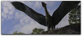 Eragon and Dragon Wings - via Daymix