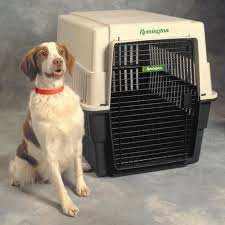 Portable Dog Fence - Airline