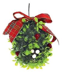 Called the x26quot Nasty  Mistletoe   x26quot it    