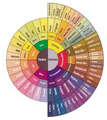 coffee tasting <b>flavor</b> wheel by