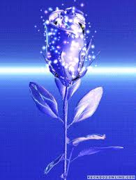 http://i121.photobucket.com/albums/o207/bicfomh/rec/flores/flores089.gif