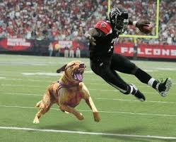 ex-NFLer Michael Vick's - via Daymix