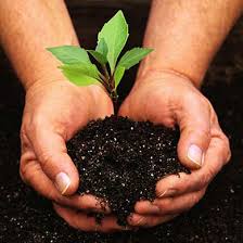 cover-gardening.jpg