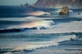 Picture of Ocean Facts