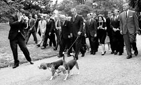 Image White House Pets - <b>Him</b> and Her Picture