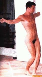 brad-pitt-nude3-thumb.jpg  