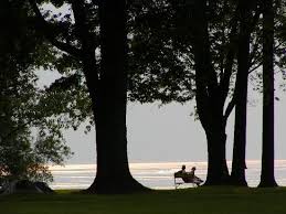 Photo of Buffalo, NY: From