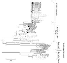 and H1N2 viruses infecting - via Daymix