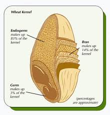 endosperm with the bran - via Daymix