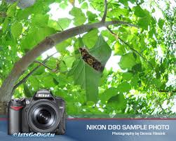 Nikon D90 Sample Photo