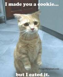 Cute Cat
