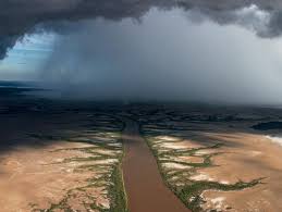 Best Of  National Geographic      