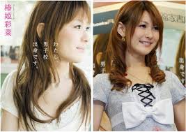 椿姫彩菜と性転換手術
