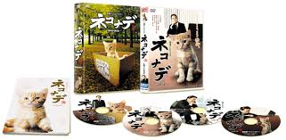 テレビドラマ ドラマの画像2