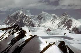 Image from Google