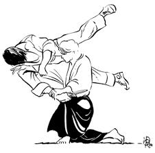 aikido_21.gif